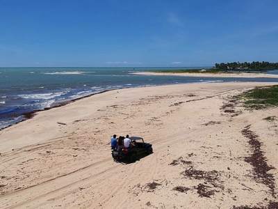 O buggy correndo pela faixa de areia