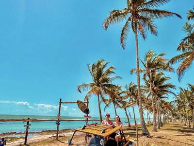 O buggy parado à sombra dos coqueiros, de frente para o recife