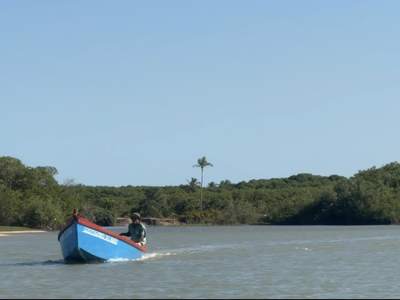O barco subindo o rio, entre o mangue