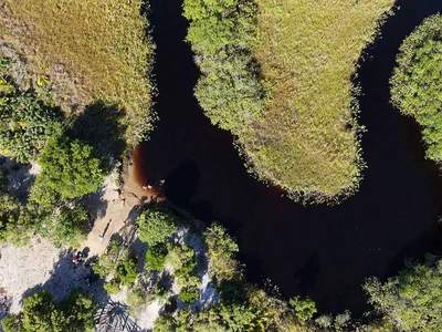 O mangue visto de cima, com os braços do rio