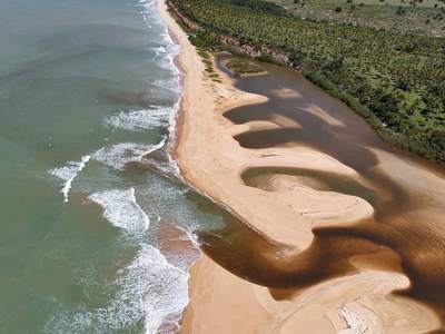 O banco de areia desenhado pela maré