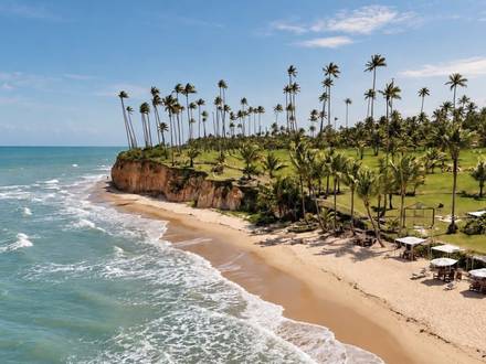 A praia e os coqueiros na beira da falésia