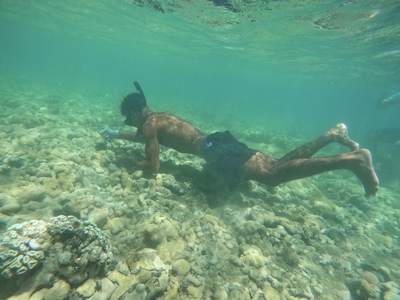 O marinheiro mergulhando sobre o coral