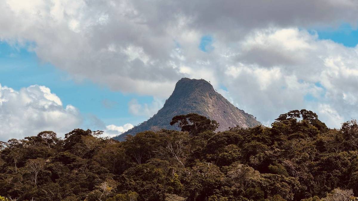 O Monte Pascoal visto de cima, com a mata em volta