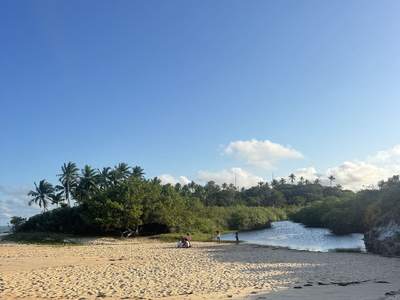 A Praia do Veleiro, onde o rio escuro encontra a areia