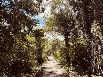 A ponte de madeira no meio da trilha