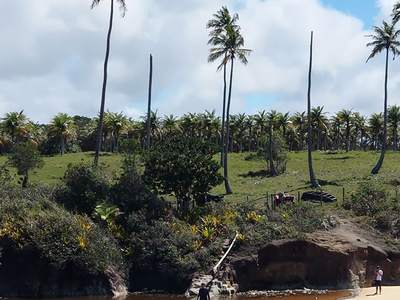 O rio encontrando a praia, no fim do trajeto