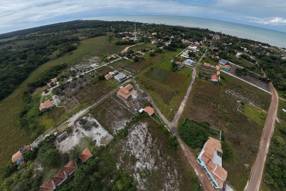 Lotes e ruas da vila vistos do alto, com a mata em volta